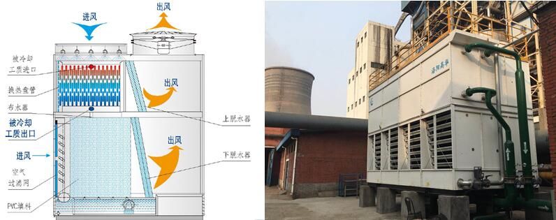 美国色情人性禁岛清洗的重要性